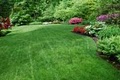 Virginia Green Lawn Care Company image 8