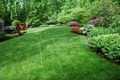 Virginia Green Lawn Care Company image 9