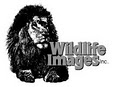 Wildlife Images, Inc image 1