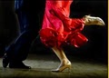 Wilson's Dancesport International image 6