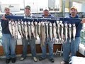 Windycitysalmon.com Lake Michigan Fishing Charters image 6