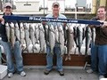Windycitysalmon.com Lake Michigan Fishing Charters image 9