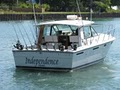 Windycitysalmon.com Lake Michigan Fishing Charters logo
