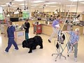 Wisconsin Veterinary Referral Center image 5