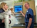 Wisconsin Veterinary Referral Center image 6