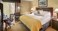 Wyndham Garden Hotel - Newark Airport image 4