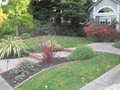A-K Landscaping image 3