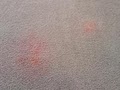 Advanced Carpet Care image 8