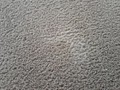 Advanced Carpet Care image 9