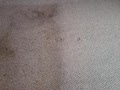 Advanced Carpet Care image 10