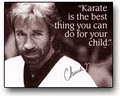 After School / Summer Camps Martial Arts Wesley Chapel, FL 33543 image 5
