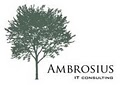 Ambrosius IT Consulting image 1