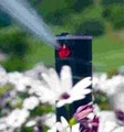 Automatic Irrigation image 1