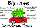 BIG TOM'S CHRISTMAS TREES logo