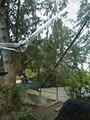 Ballard Tree Service image 1