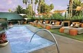 Bare Pool Lounge image 3