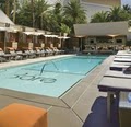 Bare Pool Lounge image 4