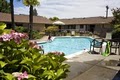 Best Western Garden Inn image 3