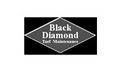 Black Diamond Termite & Pest Control Inc image 4