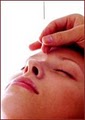 Blue Heron Wellness - Massage Therapists, Yoga Classes, Acupuncture logo