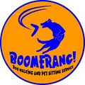 Boomerang Dog Walking and Pet Sitting Service logo