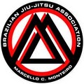 Brazilian Jiu Jitsu - Academy logo