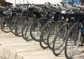 Brew City Bike Tours image 1