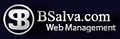 Bsalva.com Web Design & Management image 1