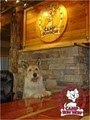 Camp Bow Wow®  Waukesha image 3