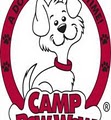 Camp Bow Wow®  Waukesha image 4