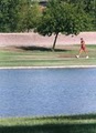 Chaparral Park image 2