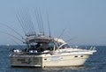 Coldwater Charters/ St. Joseph Michigan fishing image 2