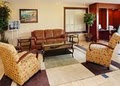 Comfort Inn - Marshall image 9