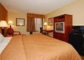 Comfort Inn - Research Triangle Park - Durham NC image 4