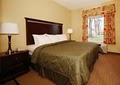 Comfort Inn & Suites Airport and Expo image 3