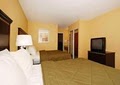 Comfort Inn & Suites Airport and Expo image 4
