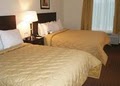 Comfort Inn & Suites image 2