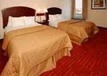 Comfort Inn University image 6