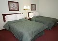 Comfort Inn image 8