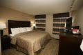 Comfort Inn image 8