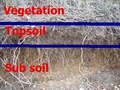 Dirt Guy Topsoil image 9