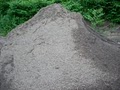 Dirt Guy Topsoil logo