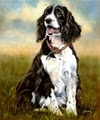 Dog & Horse Fine Art image 7