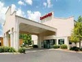 Econo Lodge image 10