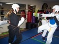 Family Martial Arts of Center Grove image 5