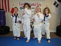 Family Martial Arts of Center Grove image 9