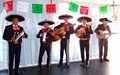 Francisco's Mariachi Band image 1