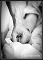 Gentle Presence Doula Service and Childbirth Education image 1