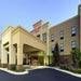 Hampton Inn Marshall, MI image 3