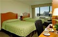 Holiday Inn Houston Reliant Park Medical Center Hotel image 5